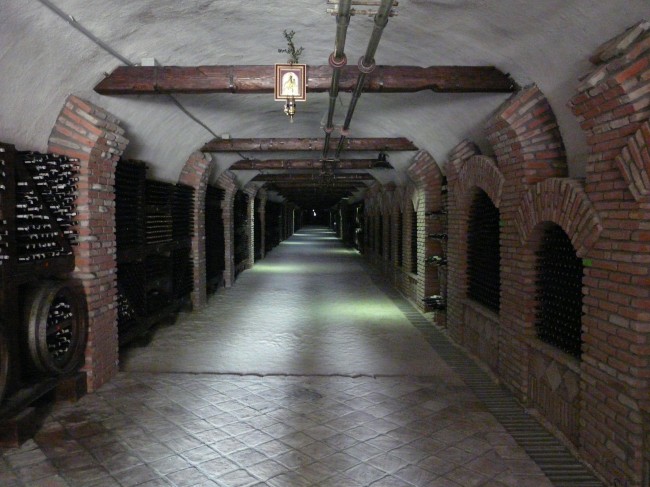 P1170923
