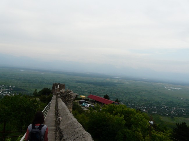 P1170995